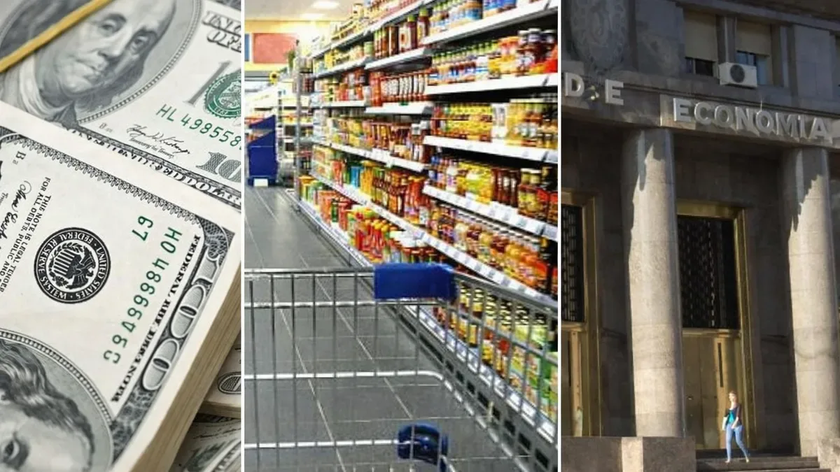 Gráfico con curvas de dólar, tasas de interés e inflación superpuestas en fondo azul y rojo