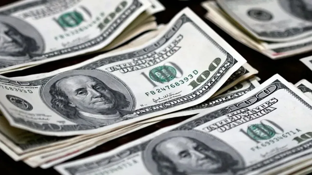 Orlando Ferreres en una entrevista económica, con gráficos de dólar y monedas de fondo