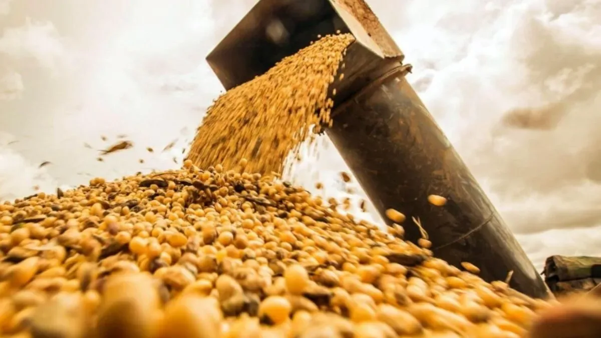 Silo bolsa de soja en campo argentino con cosechadora al fondo