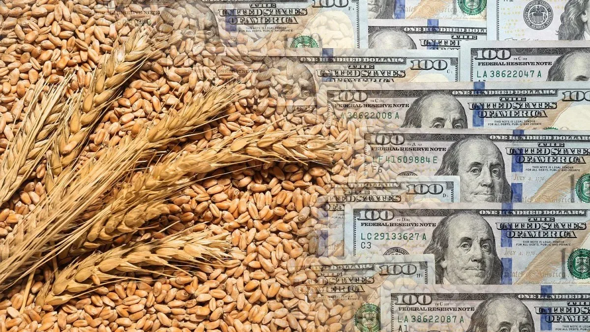 Gráfico comparativo de volúmenes de exportación agropecuaria argentina antes y después de la reducción de retenciones