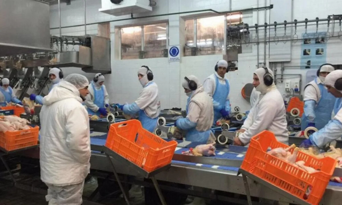 Granja Tres Arroyos suspendió su producción: trabajadores denuncian vaciamiento